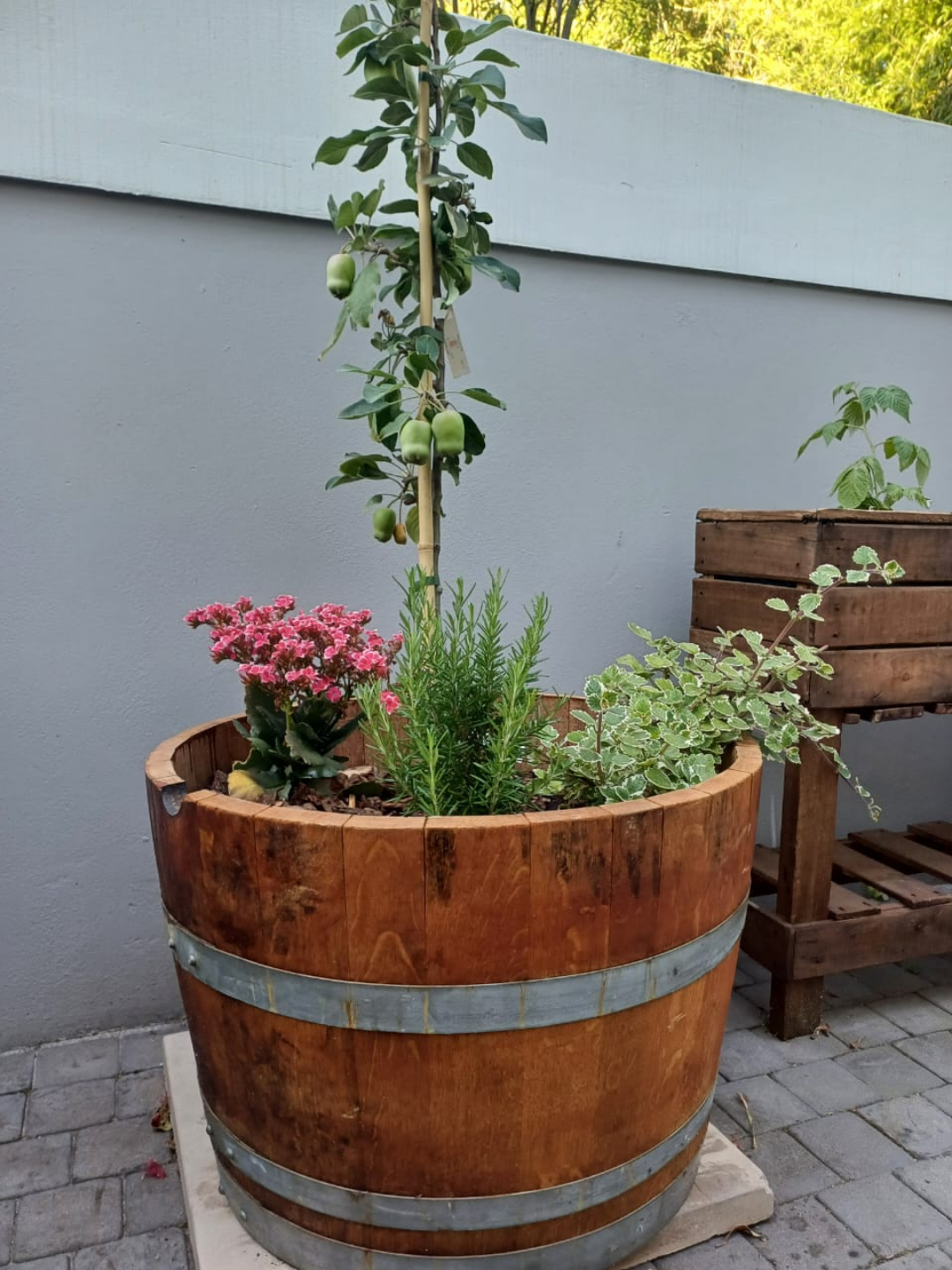 Rustic half wine barrel garden planter with drainage holes, handcrafted in Cape Town.