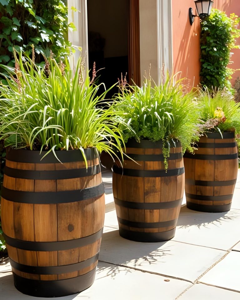 luxury wine barrels for sale cape town
